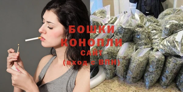 стафф Краснослободск