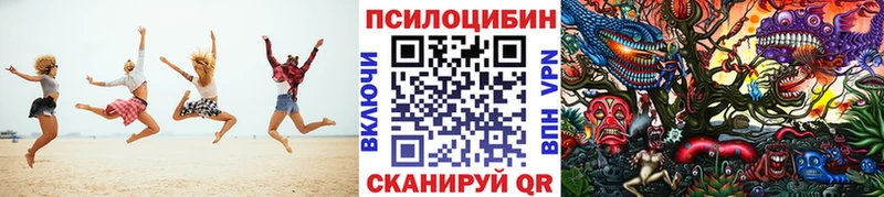 Галлюциногенные грибы Psilocybine cubensis  Красавино 